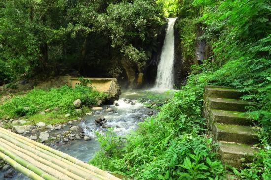 Andy'S Lodge Kelimutu Zewnętrze zdjęcie