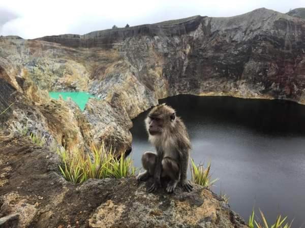 Andy'S Lodge Kelimutu Zewnętrze zdjęcie